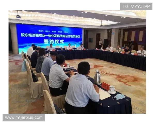 福隆国际：推动区域经济一体化的核心引擎与发展动力